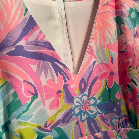 Perfect Easter dress or any occasion size 2, Lily Pulitzer. - Picture 5 of 11